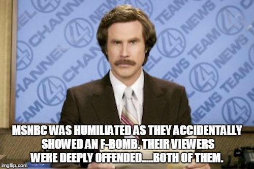 Ron Burgundy | MSNBC WAS HUMILIATED AS THEY ACCIDENTALLY SHOWED AN F-BOMB. THEIR VIEWERS WERE DEEPLY OFFENDED.....BOTH OF THEM. | image tagged in memes,ron burgundy | made w/ Imgflip meme maker