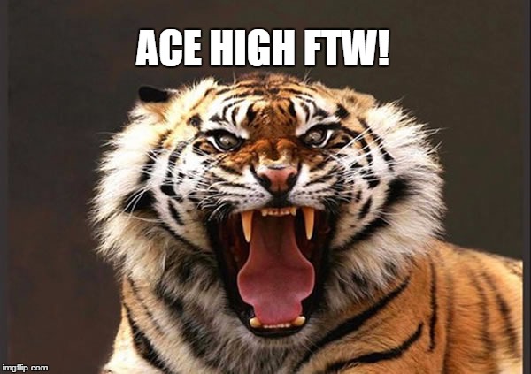 ACE HIGH FTW! | image tagged in angry tiger | made w/ Imgflip meme maker