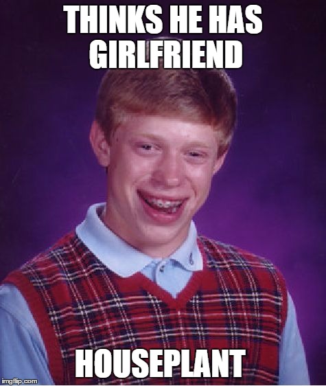 Bad Luck Brian Meme | THINKS HE HAS GIRLFRIEND; HOUSEPLANT | image tagged in memes,bad luck brian | made w/ Imgflip meme maker