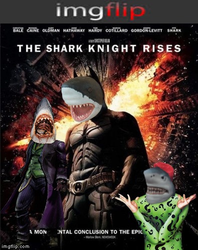Get out of the water! | image tagged in batman,sharks,movies | made w/ Imgflip meme maker