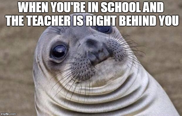 Awkward Moment Sealion Meme | WHEN YOU'RE IN SCHOOL AND THE TEACHER IS RIGHT BEHIND YOU | image tagged in memes,awkward moment sealion | made w/ Imgflip meme maker