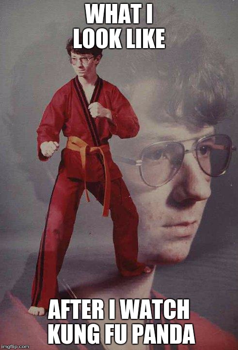 Karate Kyle | WHAT I LOOK LIKE; AFTER I WATCH KUNG FU PANDA | image tagged in memes,karate kyle | made w/ Imgflip meme maker