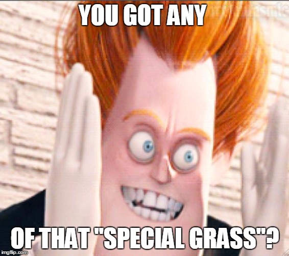 Syndrome is Tired of the Crud | YOU GOT ANY; OF THAT "SPECIAL GRASS"? | image tagged in syndrome is tired of the crud | made w/ Imgflip meme maker