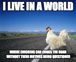 Why the chicken Cross the road | I LIVE IN A WORLD; WHERE CHICKENS CAN CROSS THE ROAD WITHOUT THEIR MOTIVES BEING QUESTIONED | image tagged in why the chicken cross the road | made w/ Imgflip meme maker