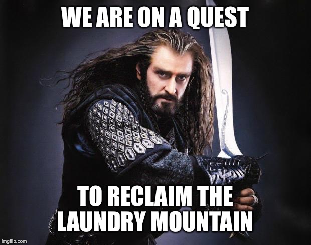Thorin | WE ARE ON A QUEST; TO RECLAIM THE LAUNDRY MOUNTAIN | image tagged in thorin | made w/ Imgflip meme maker