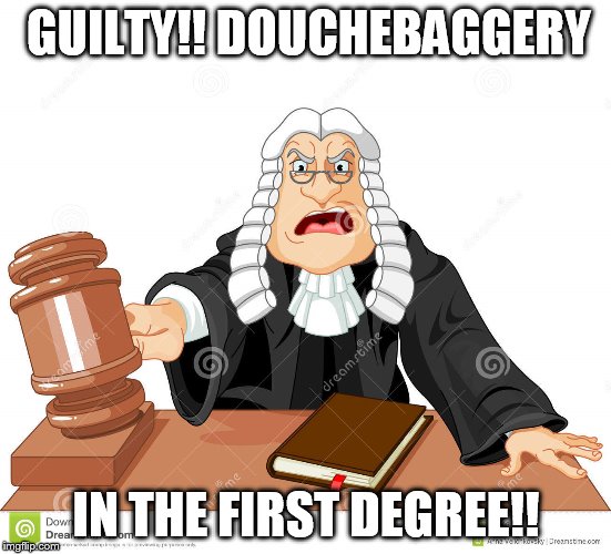GUILTY!! DOUCHEBAGGERY; IN THE FIRST DEGREE!! | image tagged in judgement | made w/ Imgflip meme maker
