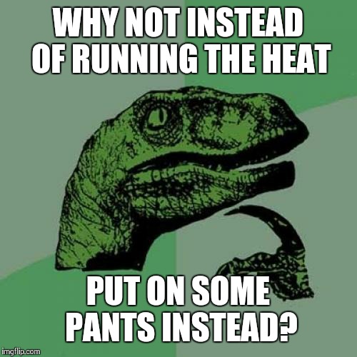 Philosoraptor | WHY NOT INSTEAD OF RUNNING THE HEAT; PUT ON SOME PANTS INSTEAD? | image tagged in memes,philosoraptor | made w/ Imgflip meme maker