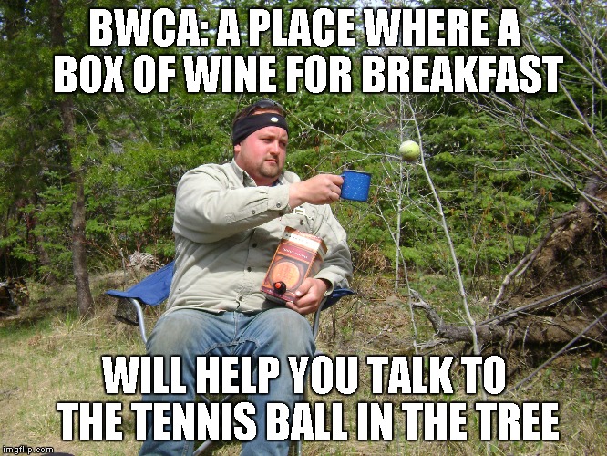 BWCA: A PLACE WHERE A BOX OF WINE FOR BREAKFAST; WILL HELP YOU TALK TO THE TENNIS BALL IN THE TREE | image tagged in bwca,wine | made w/ Imgflip meme maker