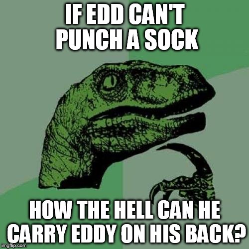 Philosoraptor | IF EDD CAN'T PUNCH A SOCK; HOW THE HELL CAN HE CARRY EDDY ON HIS BACK? | image tagged in memes,philosoraptor | made w/ Imgflip meme maker