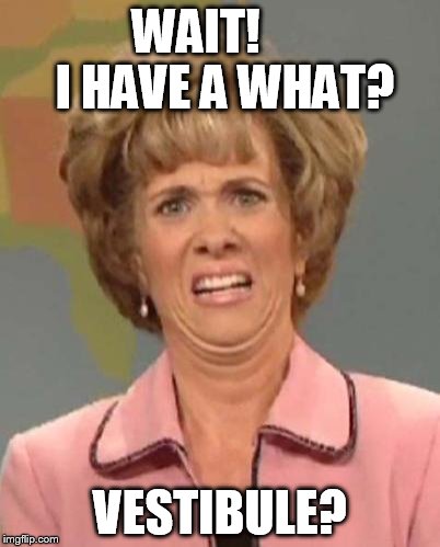 Disgusted Kristin Wiig | WAIT!      I HAVE A WHAT? VESTIBULE? | image tagged in disgusted kristin wiig | made w/ Imgflip meme maker
