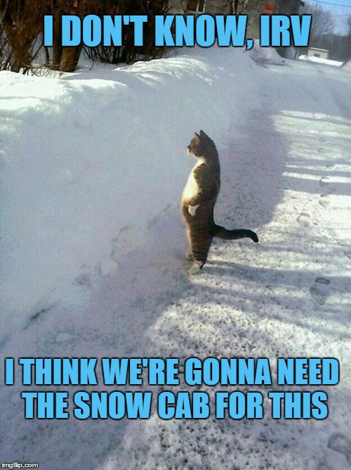 I can't get enough of Standing Cat! | I DON'T KNOW, IRV; I THINK WE'RE GONNA NEED THE SNOW CAB FOR THIS | image tagged in standing cat,cat,snow | made w/ Imgflip meme maker