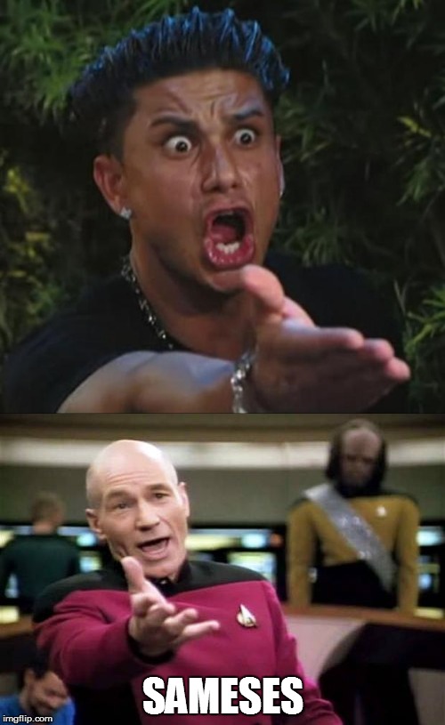 I randomly found a pic of this guy, reminded me of one of our fav captains... | SAMESES | image tagged in picard wtf,dj pauly d,memes | made w/ Imgflip meme maker