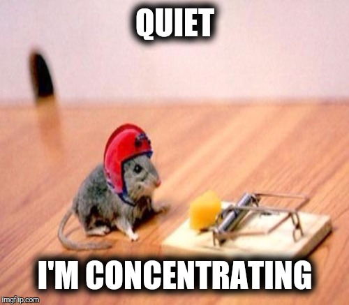 QUIET I'M CONCENTRATING | made w/ Imgflip meme maker