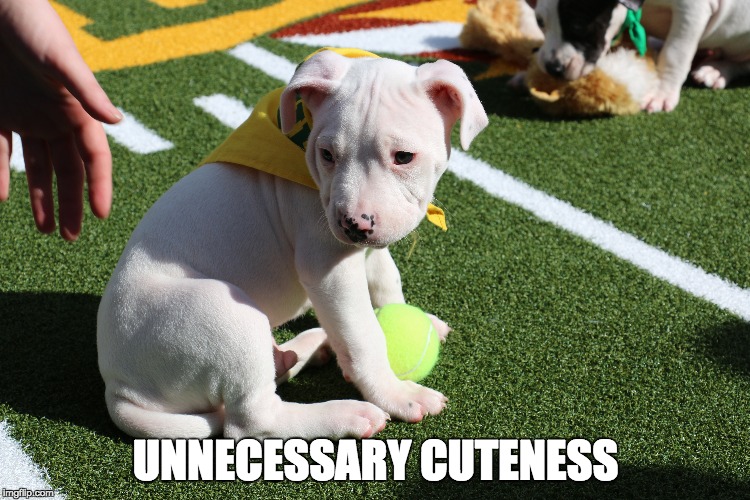 UNNECESSARY CUTENESS | made w/ Imgflip meme maker