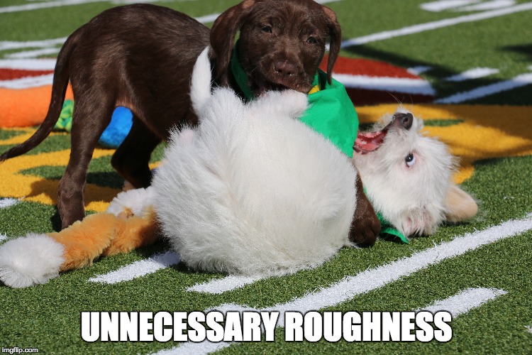 UNNECESSARY ROUGHNESS | made w/ Imgflip meme maker