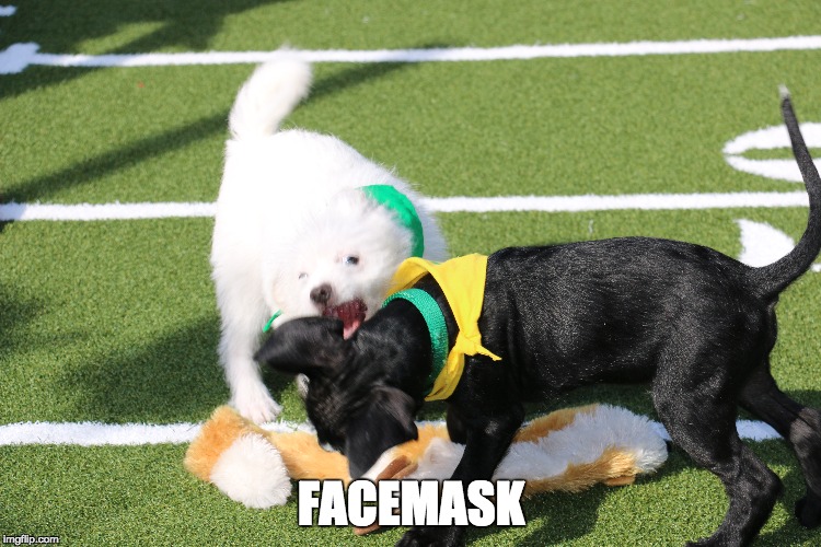 FACEMASK | made w/ Imgflip meme maker