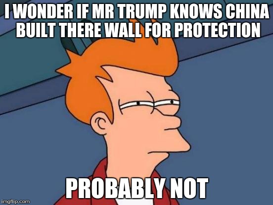 Futurama Fry Meme | I WONDER IF MR TRUMP KNOWS CHINA BUILT THERE WALL FOR PROTECTION; PROBABLY NOT | image tagged in memes,futurama fry | made w/ Imgflip meme maker