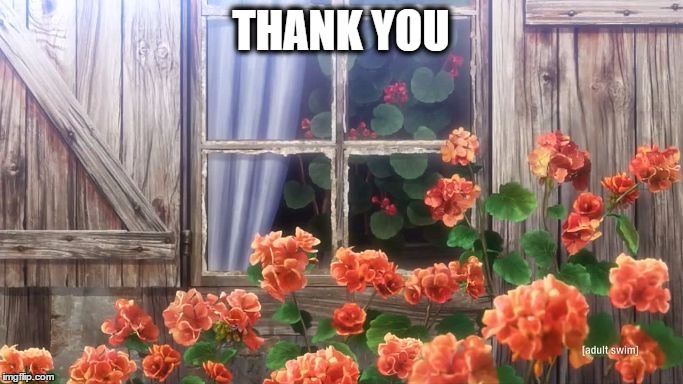 Peaceful Attack on Titan | THANK YOU | image tagged in peaceful attack on titan | made w/ Imgflip meme maker
