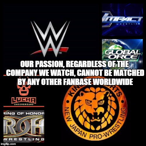 For all wrestling fans | OUR PASSION, REGARDLESS OF THE COMPANY WE WATCH, CANNOT BE MATCHED BY ANY OTHER FANBASE WORLDWIDE | image tagged in wwe,pro wrestling,sports | made w/ Imgflip meme maker