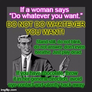 If A Woman Says Do Whatever You Want Imgflip