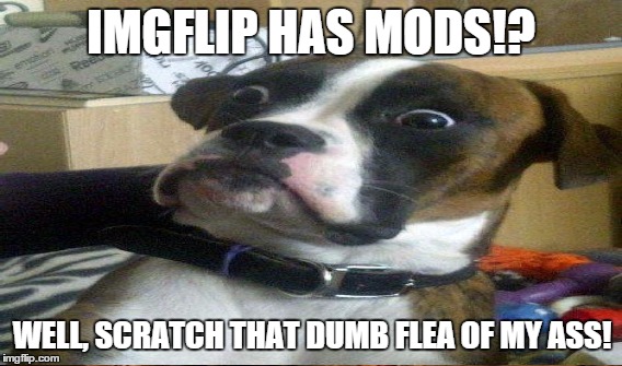 IMGFLIP HAS MODS!? WELL, SCRATCH THAT DUMB FLEA OF MY ASS! | made w/ Imgflip meme maker
