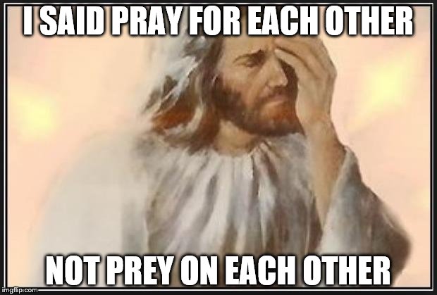 Face palm jesus | I SAID PRAY FOR EACH OTHER; NOT PREY ON EACH OTHER | image tagged in face palm jesus | made w/ Imgflip meme maker