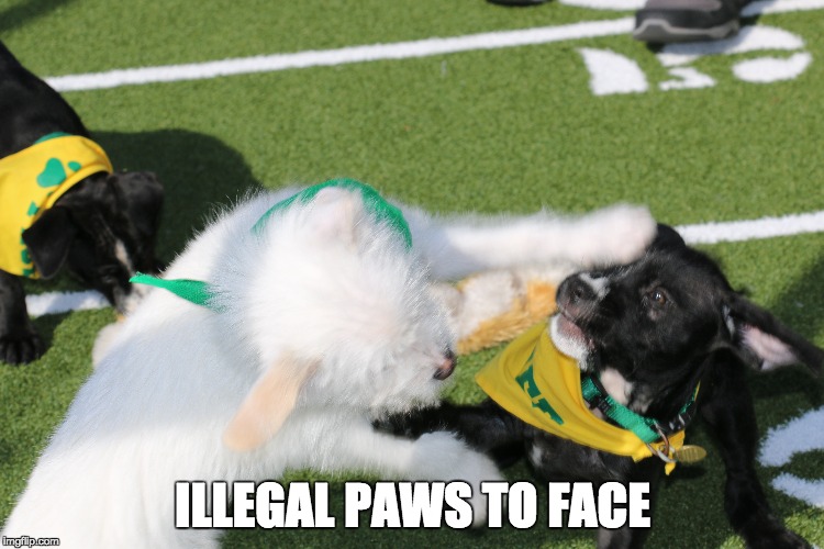 ILLEGAL PAWS TO FACE | made w/ Imgflip meme maker