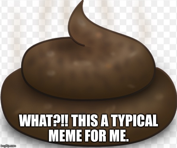 WHAT?!! THIS A TYPICAL MEME FOR ME. | image tagged in poop | made w/ Imgflip meme maker