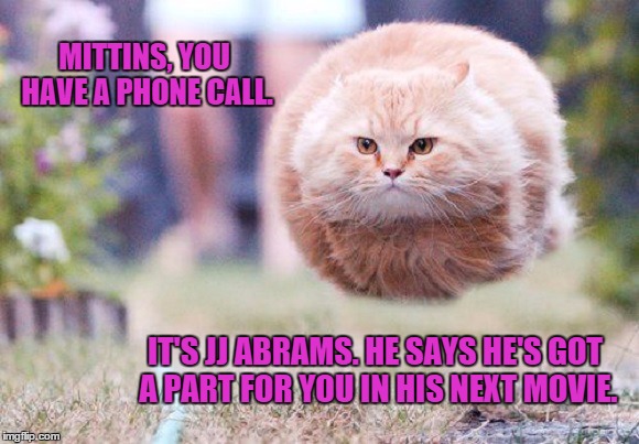 MITTINS, YOU HAVE A PHONE CALL. IT'S JJ ABRAMS. HE SAYS HE'S GOT A PART FOR YOU IN HIS NEXT MOVIE. | image tagged in jj abrams,cats,star trek,tribbles | made w/ Imgflip meme maker