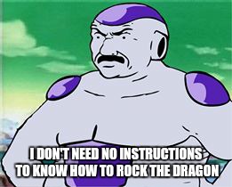 Carl Brutananadifrieza | I DON'T NEED NO INSTRUCTIONS TO KNOW HOW TO ROCK THE DRAGON | image tagged in aqua dragon teen hunger ball z force | made w/ Imgflip meme maker