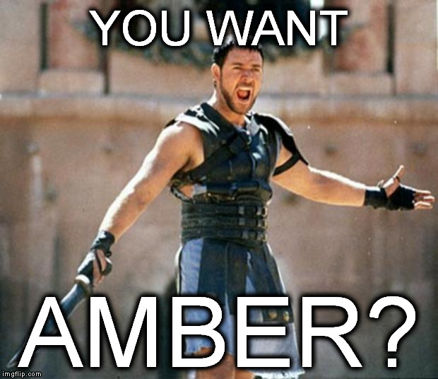 gladiator | YOU WANT; AMBER? | image tagged in gladiator | made w/ Imgflip meme maker
