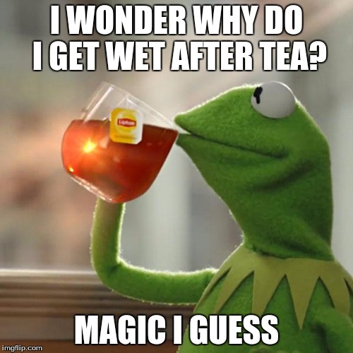 But That's None Of My Business | I WONDER WHY DO I GET WET AFTER TEA? MAGIC I GUESS | image tagged in memes,but thats none of my business,kermit the frog | made w/ Imgflip meme maker