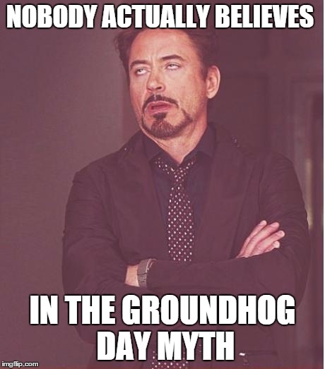 When somebody makes fun of people believing in groundhog day but not global warming | NOBODY ACTUALLY BELIEVES; IN THE GROUNDHOG DAY MYTH | image tagged in memes,face you make robert downey jr | made w/ Imgflip meme maker