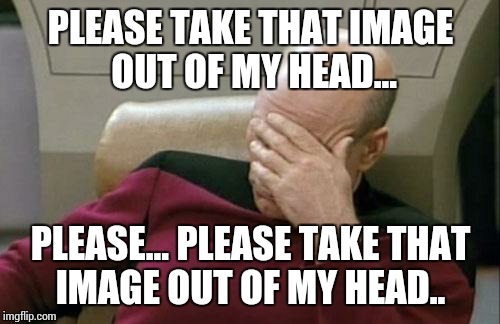 Captain Picard Facepalm Meme | PLEASE TAKE THAT IMAGE OUT OF MY HEAD... PLEASE... PLEASE TAKE THAT IMAGE OUT OF MY HEAD.. | image tagged in memes,captain picard facepalm | made w/ Imgflip meme maker