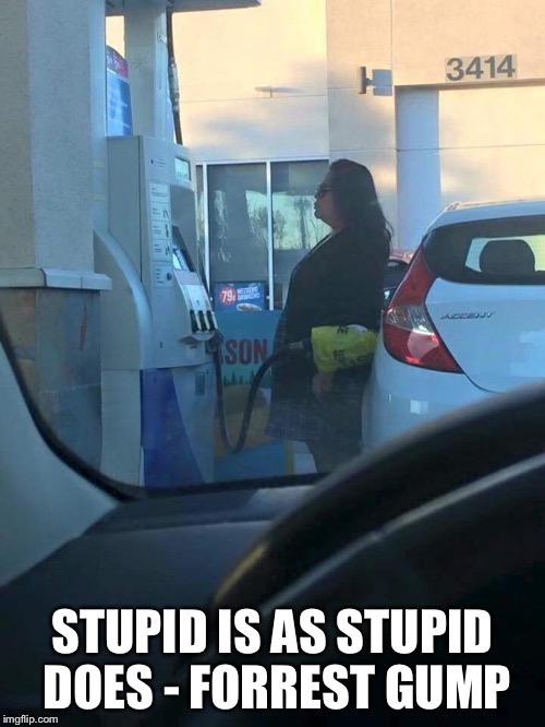STUPID IS AS STUPID DOES - FORREST GUMP | image tagged in stupid people | made w/ Imgflip meme maker