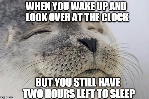 A Wonderful feeling on a work morning... | WHEN YOU WAKE UP AND LOOK OVER AT THE CLOCK; BUT YOU STILL HAVE TWO HOURS LEFT TO SLEEP | image tagged in memes,satisfied seal,work,wake up,alarm clock,getting up | made w/ Imgflip meme maker