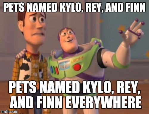 X, X Everywhere Meme | PETS NAMED KYLO, REY, AND FINN; PETS NAMED KYLO, REY, AND FINN EVERYWHERE | image tagged in memes,x x everywhere,AdviceAnimals | made w/ Imgflip meme maker