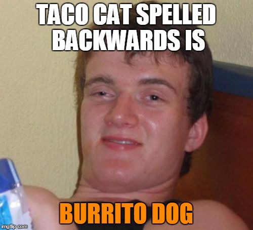 10 Guy Meme | TACO CAT SPELLED BACKWARDS IS BURRITO DOG | image tagged in memes,10 guy | made w/ Imgflip meme maker