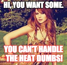 Hi, dumbs. | HI, YOU WANT SOME. YOU CAN'T HANDLE THE HEAT DUMBS! | image tagged in sarcasm | made w/ Imgflip meme maker