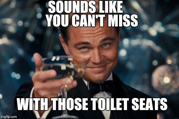 Leonardo Dicaprio Cheers Meme | SOUNDS LIKE YOU CAN'T MISS WITH THOSE TOILET SEATS | image tagged in memes,leonardo dicaprio cheers | made w/ Imgflip meme maker