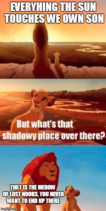 Simba Shadowy Place Meme | EVERYHING THE SUN TOUCHES WE OWN SON; THAT IS THE MEDOW OF LOST NOOBS, YOU NEVER WANT TO END UP THERE | image tagged in memes,simba shadowy place | made w/ Imgflip meme maker