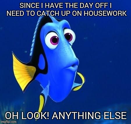 dory forgets | SINCE I HAVE THE DAY OFF I NEED TO CATCH UP ON HOUSEWORK; OH LOOK! ANYTHING ELSE | image tagged in dory forgets | made w/ Imgflip meme maker