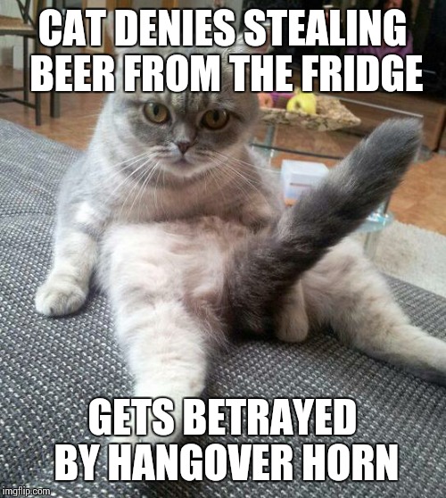 Sexy Cat Meme | CAT DENIES STEALING BEER FROM THE FRIDGE; GETS BETRAYED BY HANGOVER HORN | image tagged in memes,sexy cat | made w/ Imgflip meme maker