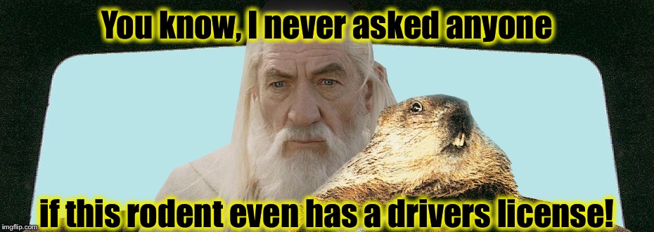 And then Gandalf had a revaluation......... | You know, I never asked anyone; if this rodent even has a drivers license! | image tagged in gandalf groundhog,memes,funny memes | made w/ Imgflip meme maker