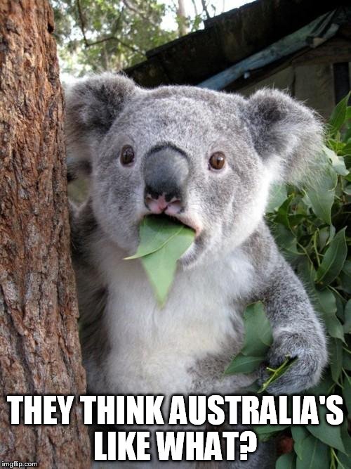 Surprised Koala | THEY THINK AUSTRALIA'S LIKE WHAT? | image tagged in memes,surprised koala | made w/ Imgflip meme maker