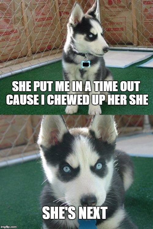 I meant SHOE. I beat you to it grammar Nazis.  | SHE PUT ME IN A TIME OUT CAUSE I CHEWED UP HER SHE; SHE'S NEXT | image tagged in memes,insanity puppy | made w/ Imgflip meme maker