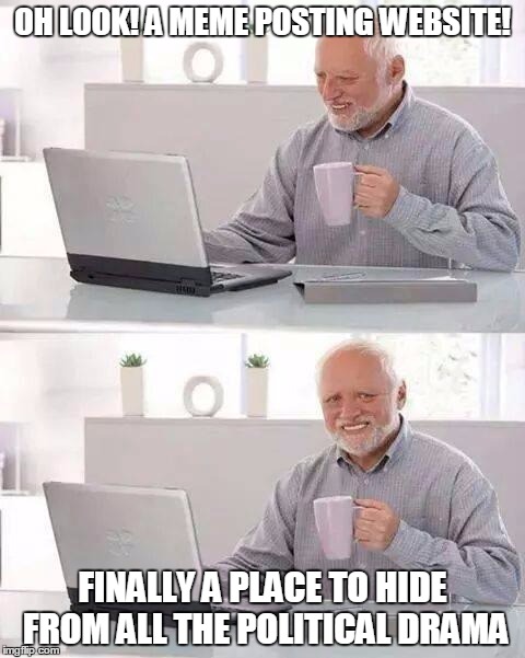 Hide the Pain Harold | OH LOOK! A MEME POSTING WEBSITE! FINALLY A PLACE TO HIDE FROM ALL THE POLITICAL DRAMA | image tagged in memes,hide the pain harold | made w/ Imgflip meme maker