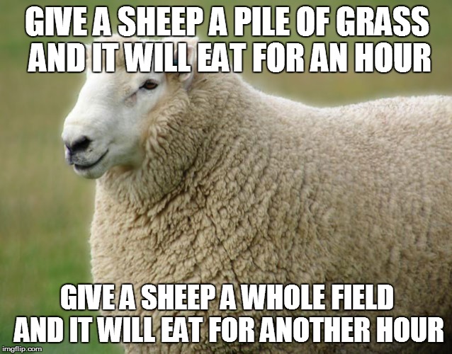 Poetic Sheep | GIVE A SHEEP A PILE OF GRASS AND IT WILL EAT FOR AN HOUR; GIVE A SHEEP A WHOLE FIELD AND IT WILL EAT FOR ANOTHER HOUR | image tagged in memes,animals,sheep | made w/ Imgflip meme maker