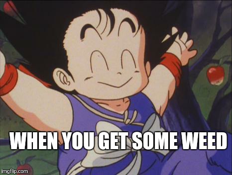 Happy Goku | WHEN YOU GET SOME WEED | image tagged in happy goku | made w/ Imgflip meme maker