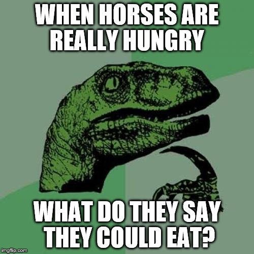 Cannibal horses anyone? | WHEN HORSES ARE REALLY HUNGRY; WHAT DO THEY SAY THEY COULD EAT? | image tagged in memes,philosoraptor,horses,i could eat a horse,food | made w/ Imgflip meme maker